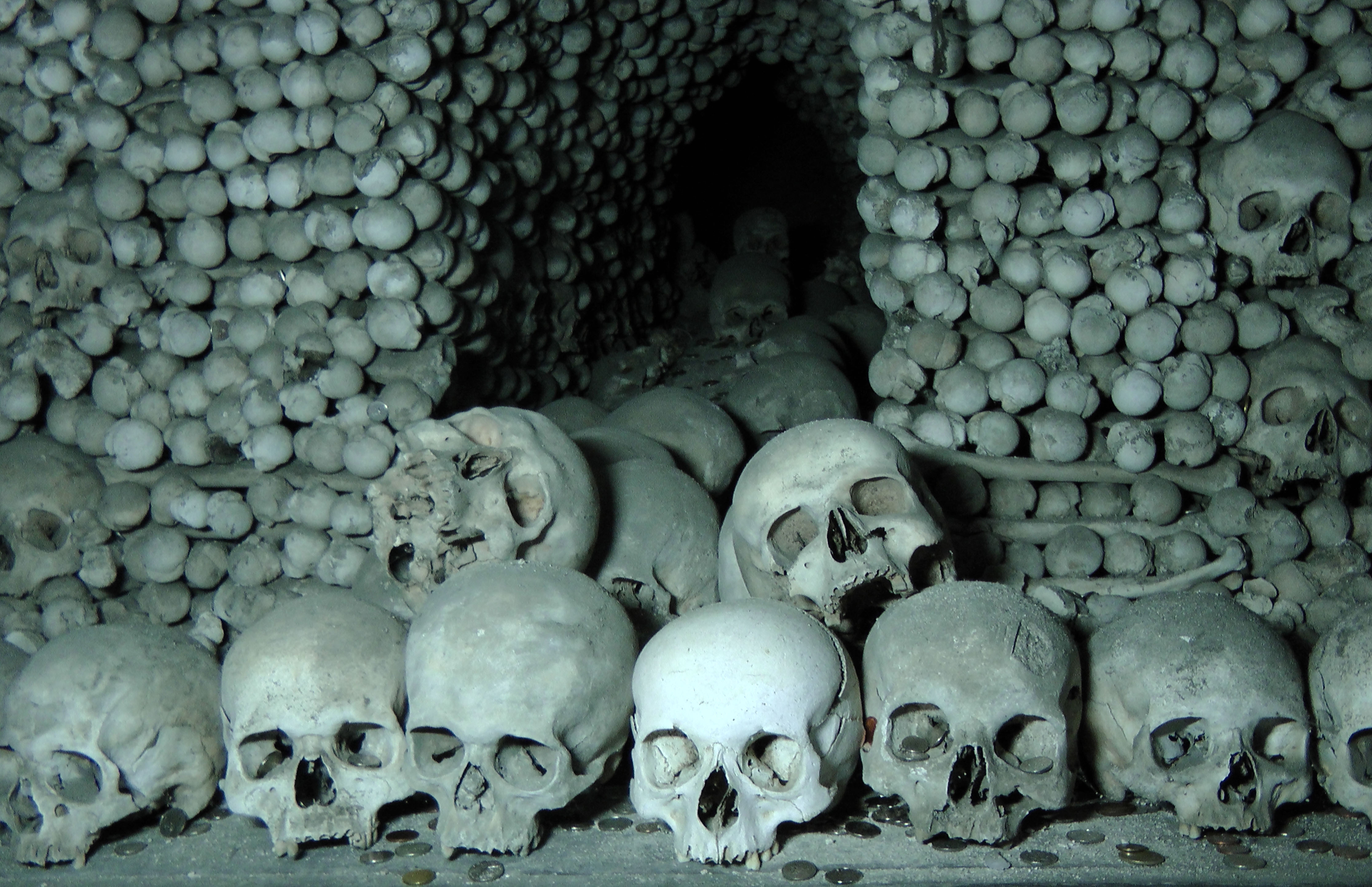 Beyond Death Conference Vienna 2 – 4 May 2018